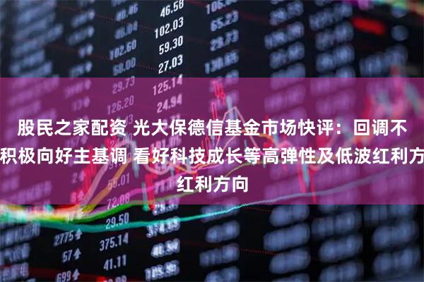 股民之家配资 光大保德信基金市场快评：回调不改积极向好主基调 看好科技成长等高弹性及低波红利方向