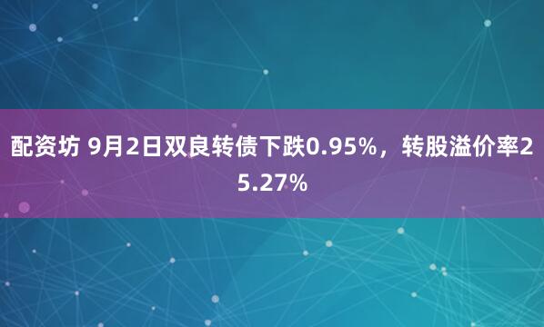 配资坊 9月2日双良转债下跌0.95%，转股溢价率25.27%