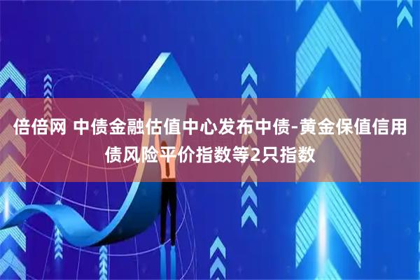 倍倍网 中债金融估值中心发布中债-黄金保值信用债风险平价指数等2只指数